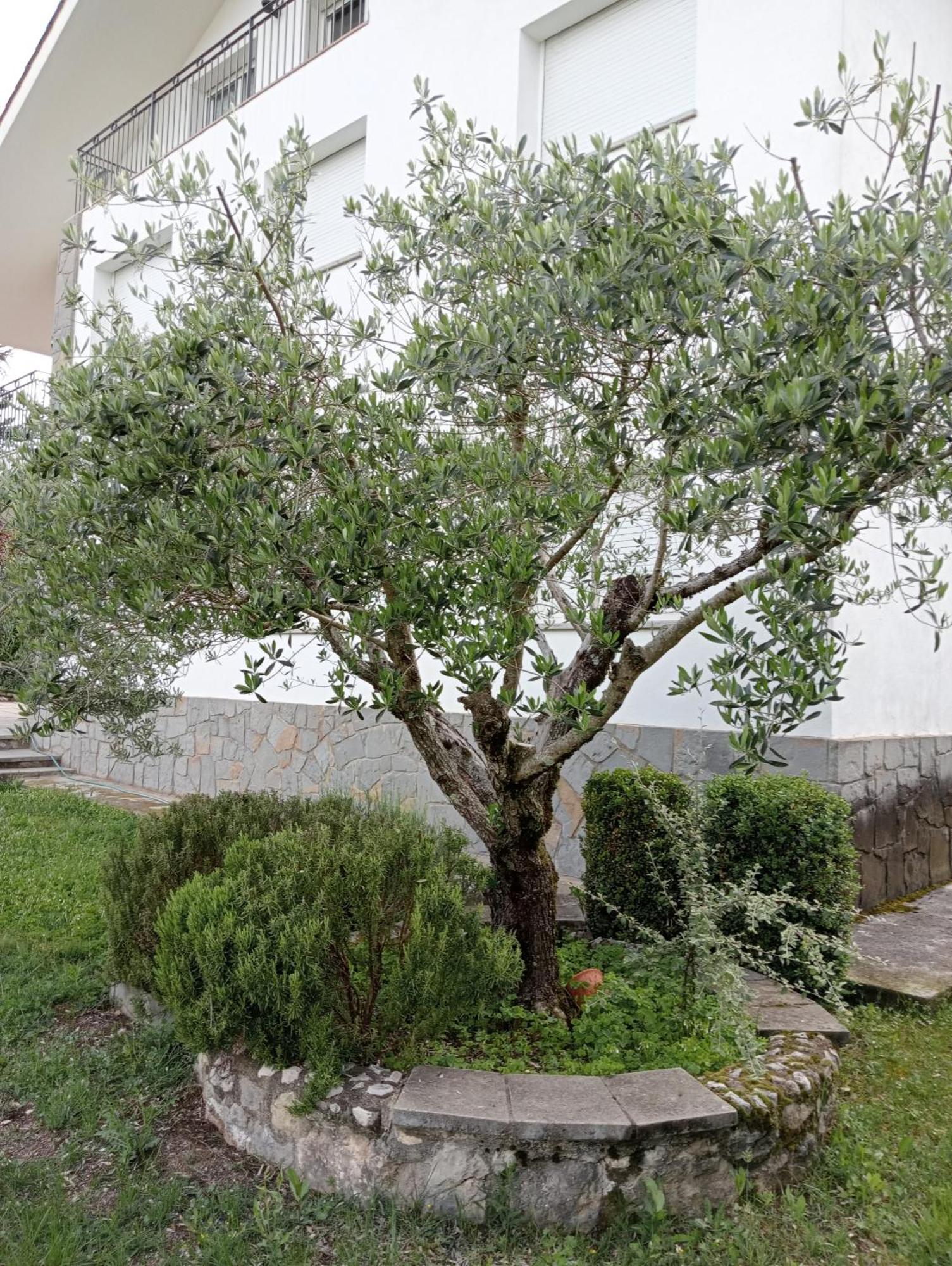 Apartamento-Casa Turistica L'Espigol San Lorenzo de Morunys Luaran gambar
